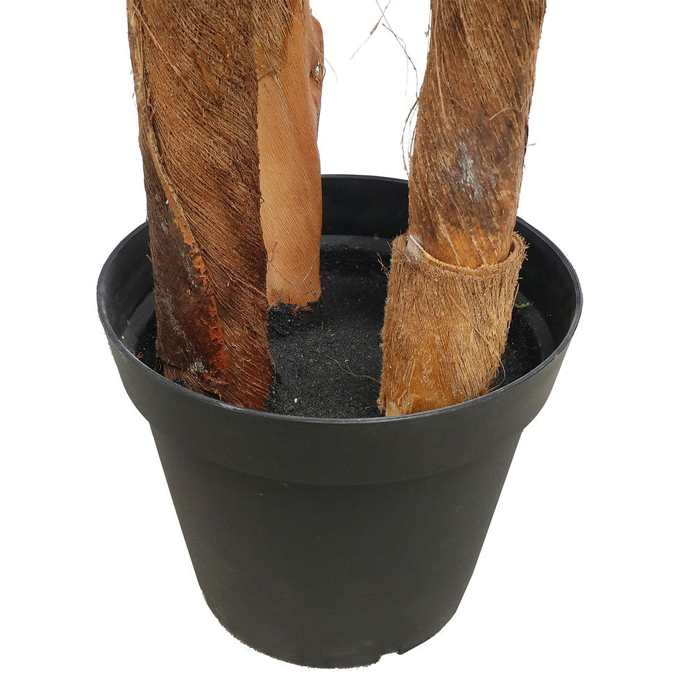 Thumbnail: Large Tropical Palm Tree 300cm