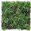 Thumbnail: Luxury Country Fern Artificial Vertical Garden 100cm X 100cm UV Resistant