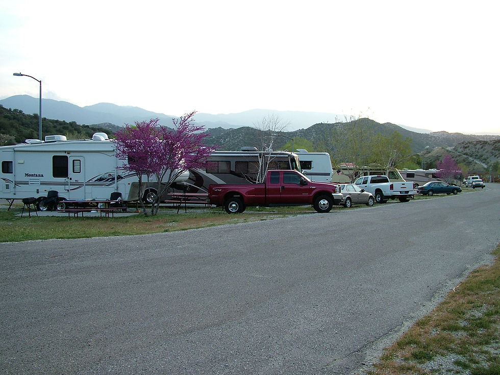 DSCF0065