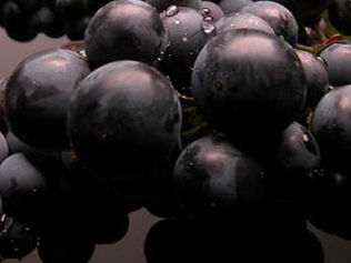 Terranino: Istria's Unique Teran Wine Liqueur