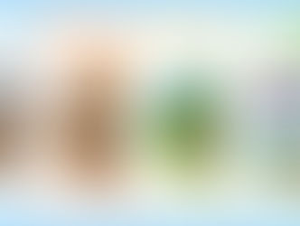 Istria’s Climate: Sun-Kissed Beaches, Whirling Winds, and Year-Round Adventure