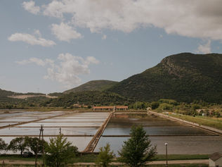 Ston: History and Gastronomy Behind Ancient Walls