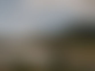 Ston: History and Gastronomy Behind Ancient Walls