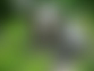 The Tranquil Beauty of Gacka River Valley. Weekend Trip.