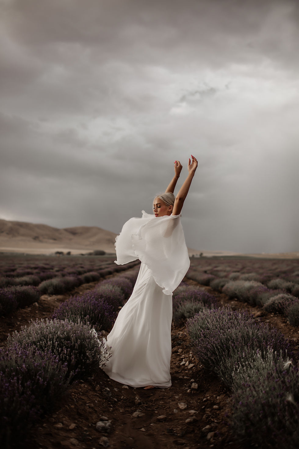 Thumbnail: Olive Avenue Presets + Brushes