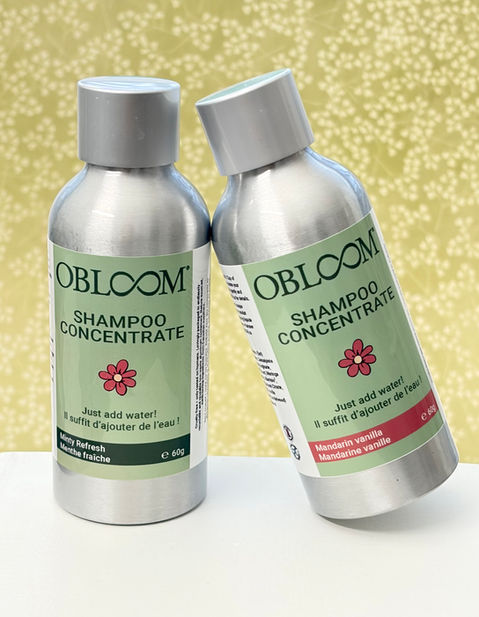 Shampoo Concentrate powder, just add water