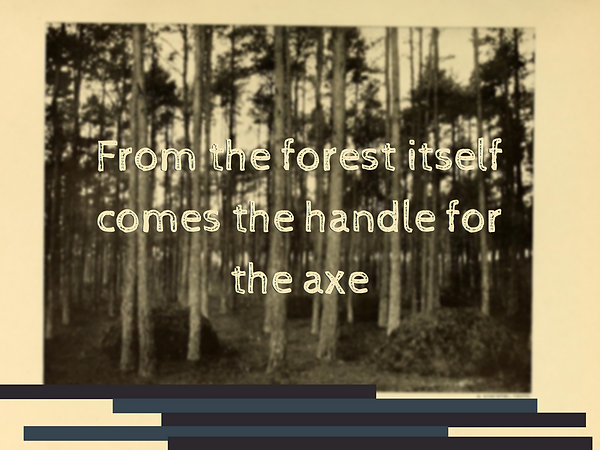 From the forest itself comes the handle 