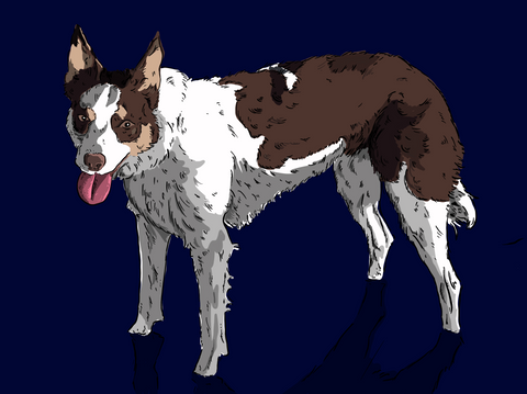 Untitled_Artwork 2.png