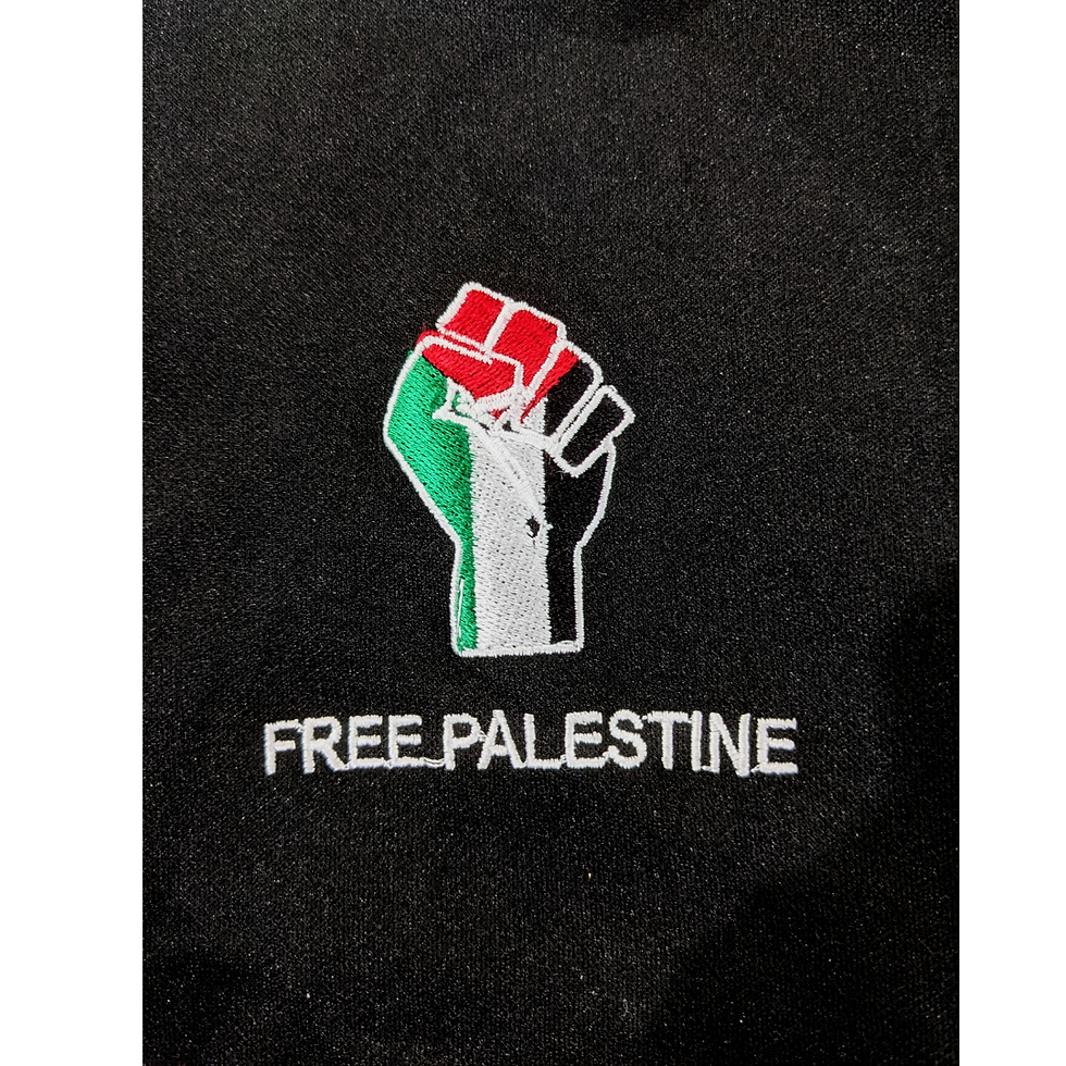 Thumbnail: Dreem for Palestine Long Zip Hoodies