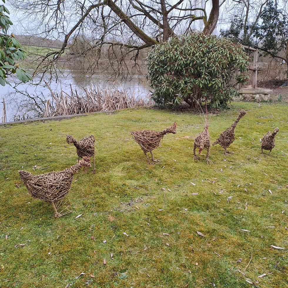 Thumbnail: Willow Chicken Workshop 24th April