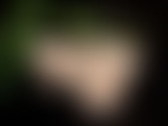 Desert Rose Selenite Divine Activation