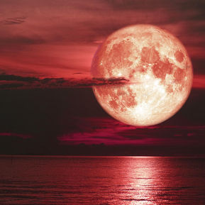 It's time to RESET & Renew Under the Strawberry Full Moon.