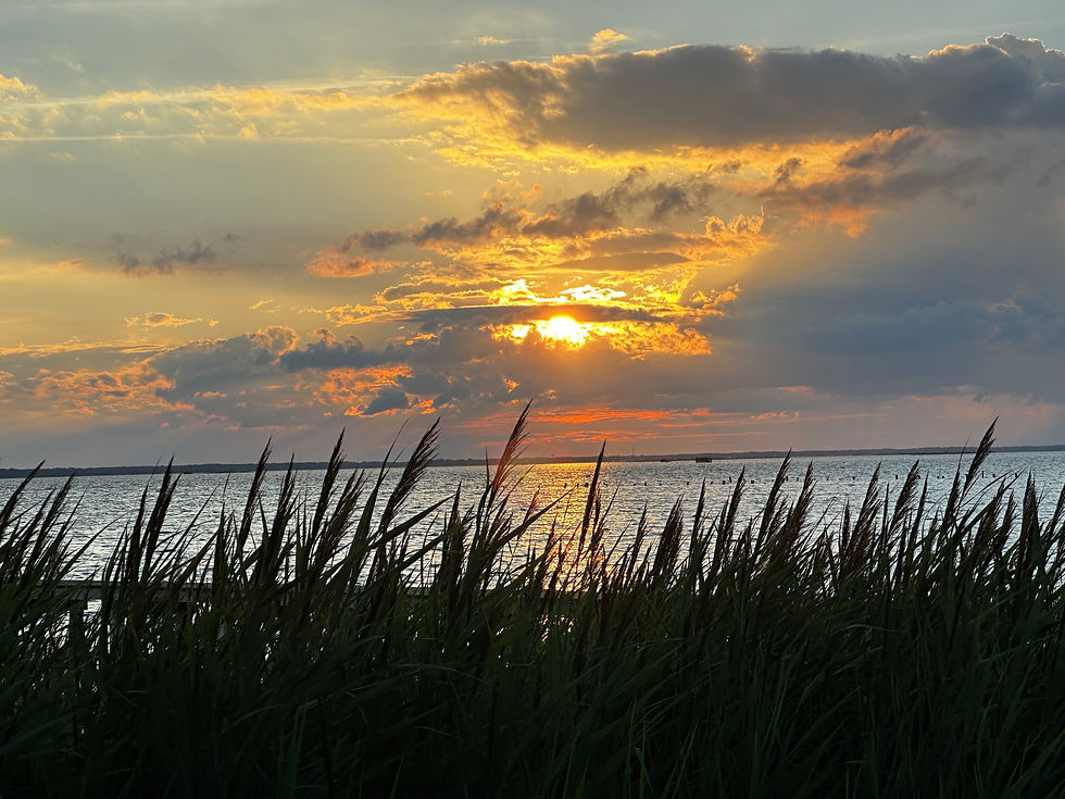 Photo by Dave Gibbons