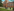 Living Sustainable in College