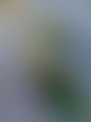 Building Resilience with strengths based counselling 