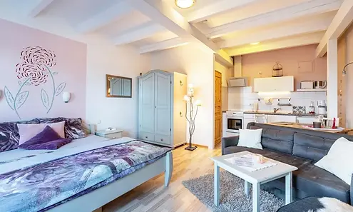 Gemütliches Apartment mit Doppelbett und Sofa