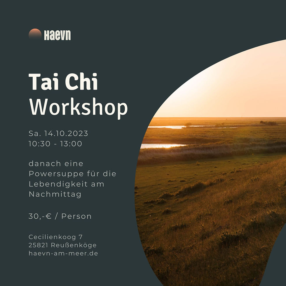 Tai Chi Workshop