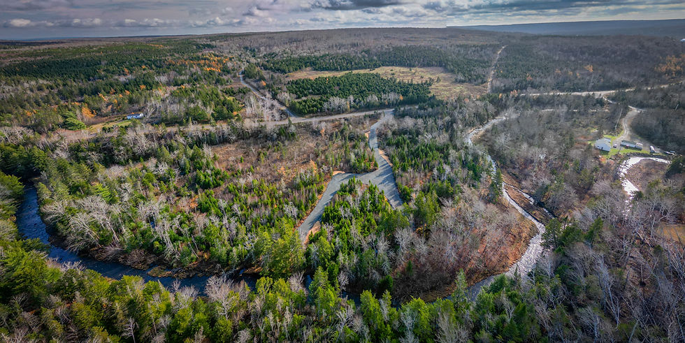 CarbonRun_Pictou Project Overhead View.jpeg