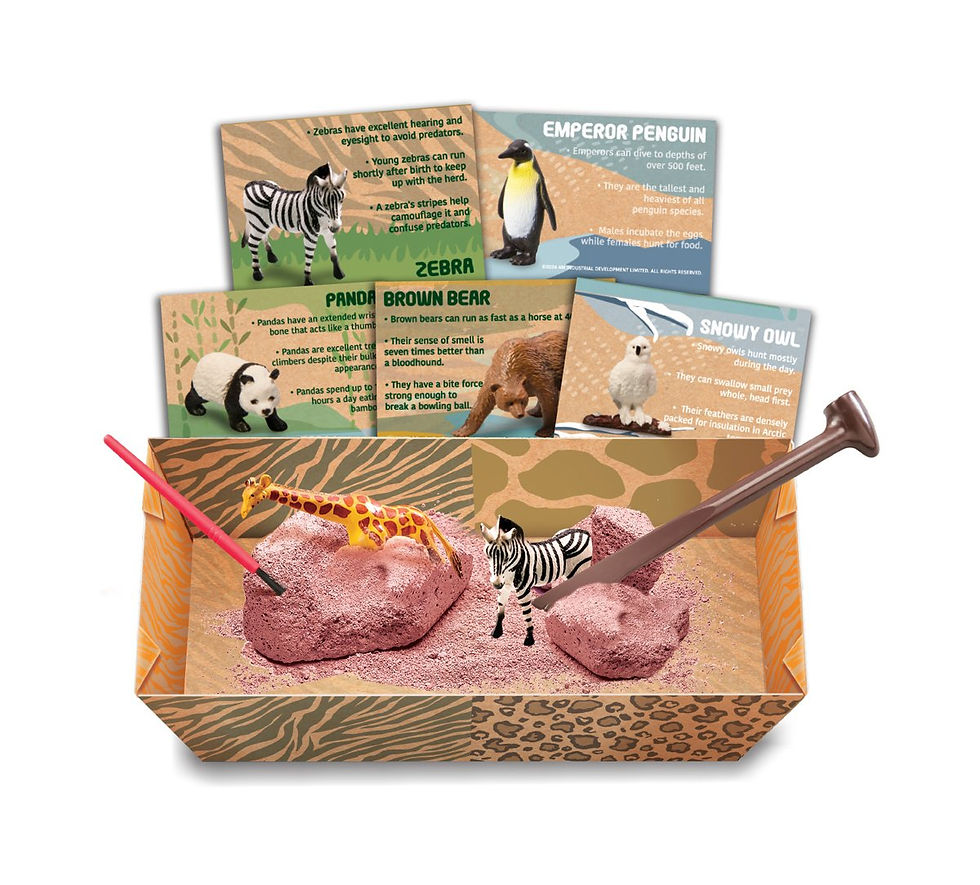 Miniature : Kit d'excavation Animaux sauvages 4M