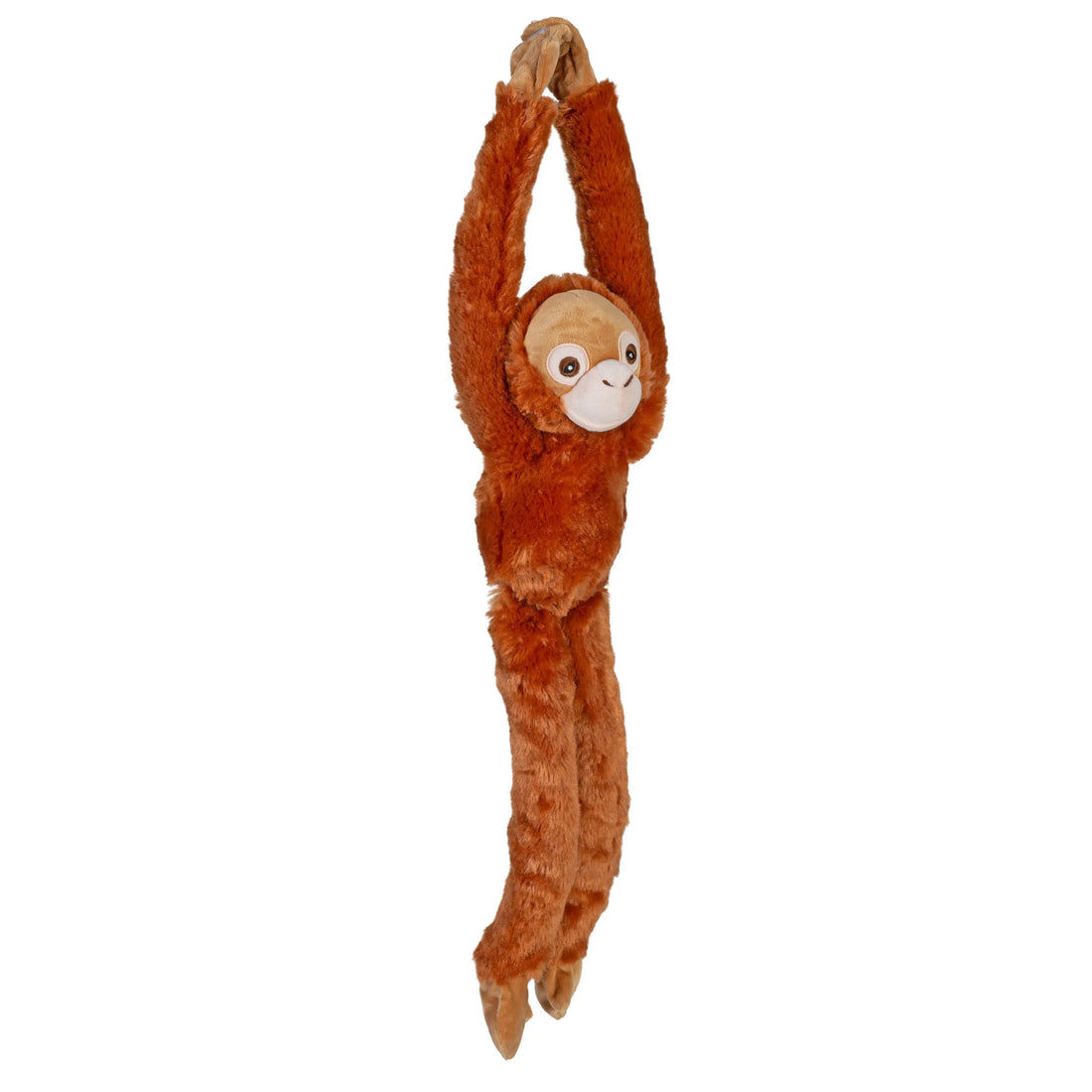 Orang outang Wild Republic
