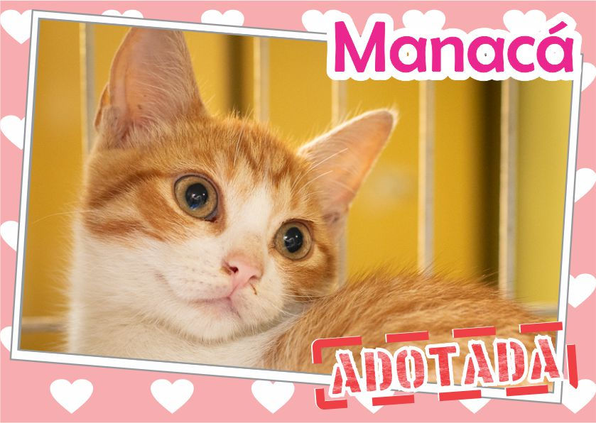 Manacá