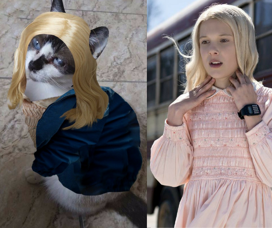 Design sem nome (10)