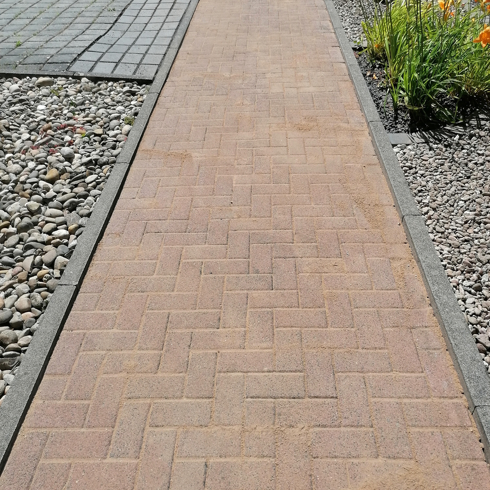 Design ohne Titel - 2025-06-23T172933.841.png