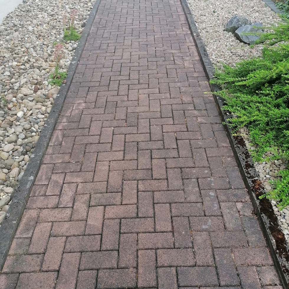 Design ohne Titel - 2025-06-23T173034.371.png