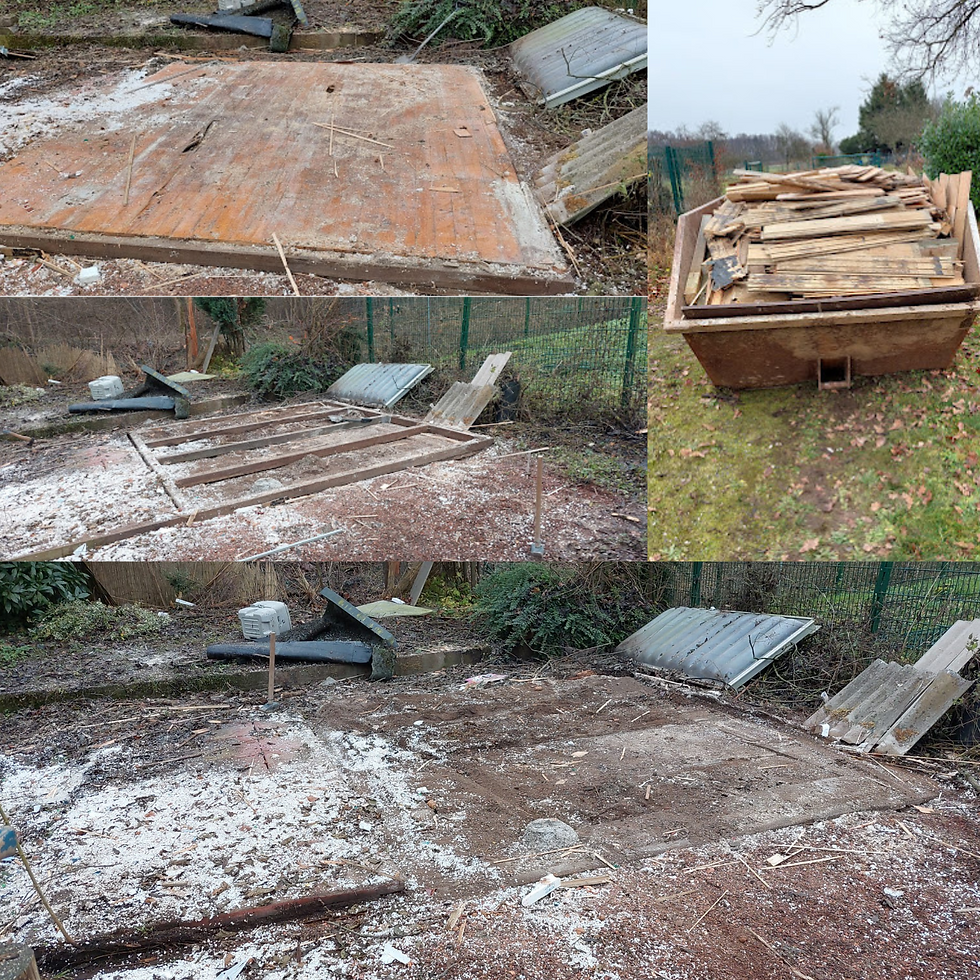 Design ohne Titel - 2025-07-14T113634.809.png