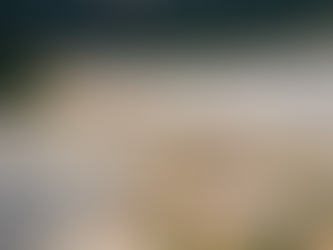 Desastre socioambiental: o caso das Usinas Hidrelétricas de Santo Antônio e Jirau