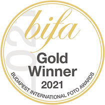 BIFA 2021 Gold Badge.png