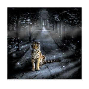 Guardian of the Night