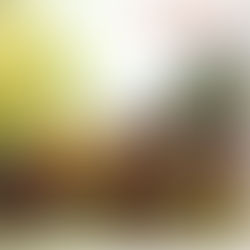 Vindarnas Sång 1990