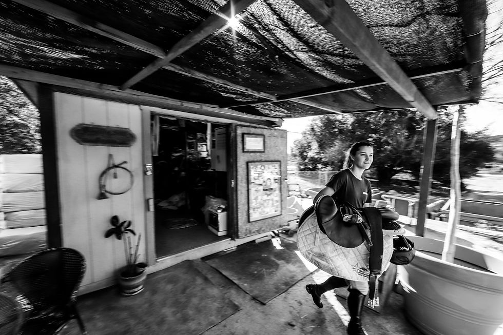 10395415-0AE4-4E03-A314-7A77E2042E47