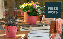 Fiber Pots