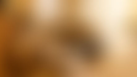 Fotografia de Imóveis