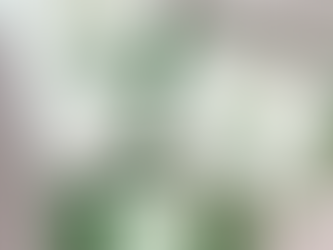 Step it Up! 3 Christmas Card Ideas with the Joy to You Stamp Set