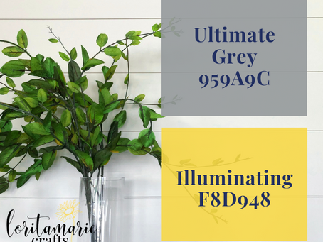 Simply Succulents Sneak a Peek