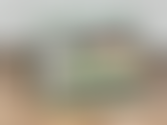 True Love Designer Series Paper