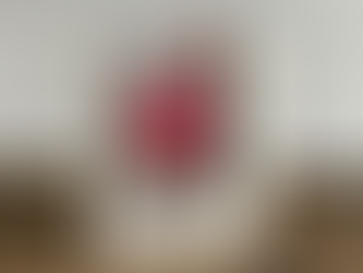 Let's Celebrate Galentine's Day!