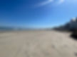 IMG_8692.jpeg