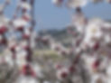F - Paysages et cultures (8).jpg