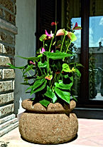 Fontana scolpita