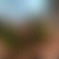 Animation set created by Terry Ibele