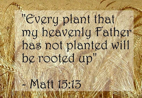 Praise God He has ordered up my steps in all my plans. Proverbs 16:9
