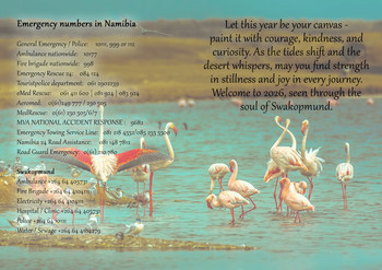 Flamingoes in the water at salt works