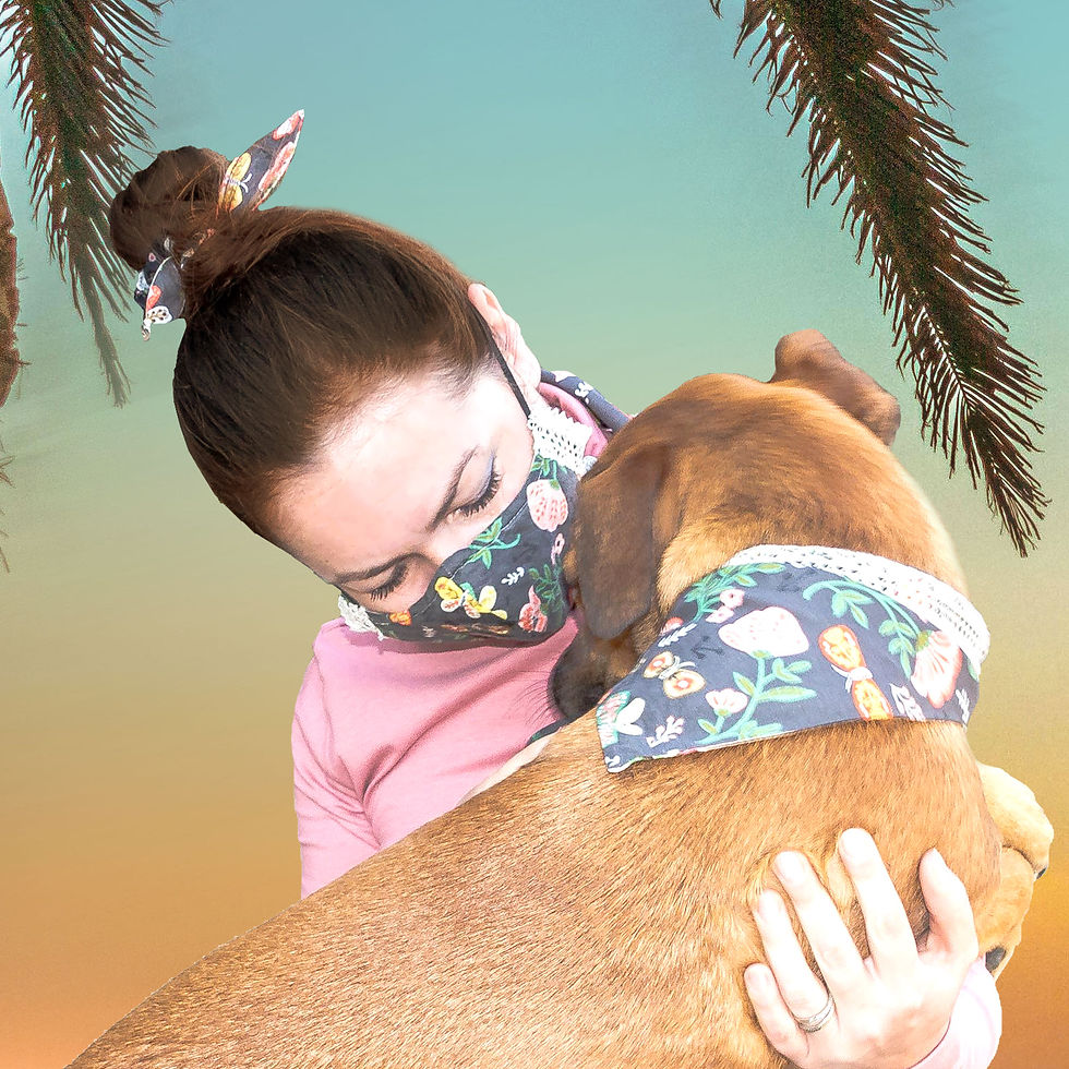 Thumbnail: Reversible Mask - Summer that's always with you