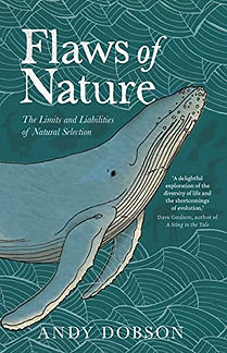 FLAWS OF NATURE