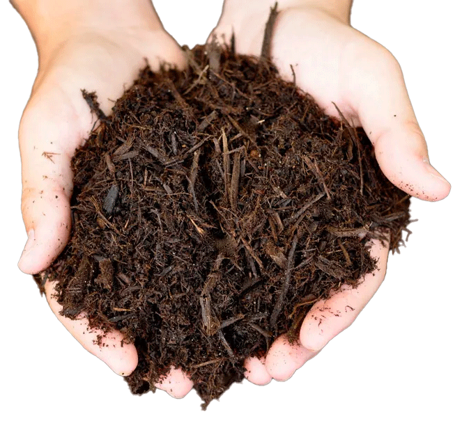 dos manos sosteniendo un puñado de compost ecológico