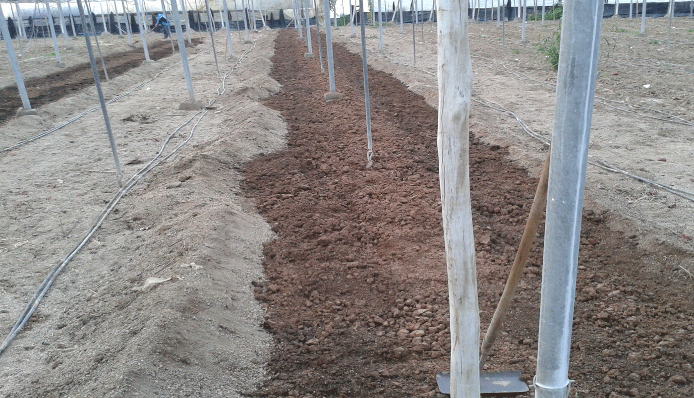 proceso de abrir calles de tierra para la siembra posterior